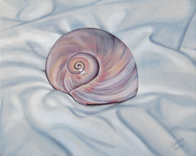 Contemplation Solitary Moonsnail by Susanna Pantas
